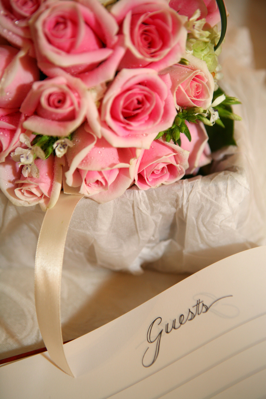 pink rose with guestbook