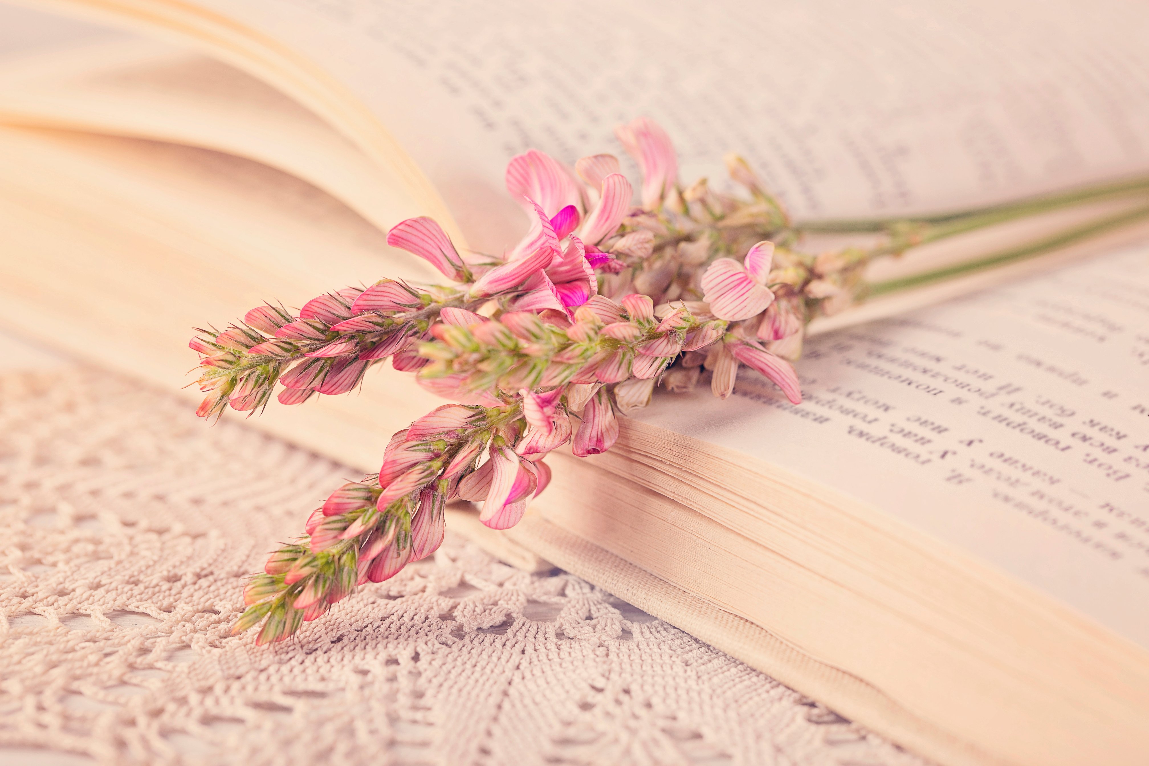 Old book and flowers